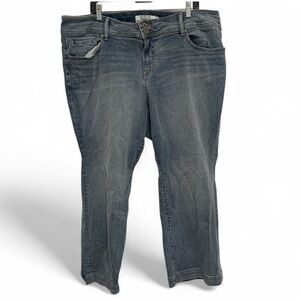 Torrid Light Wash Jeans